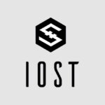 【仮想通貨】IOSTってどんなコイン?期待していいの?|ガチホルダーが初心者に分かりやすく解説